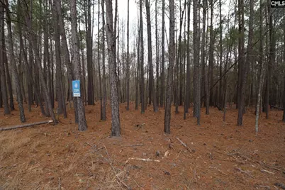 Lot 229 Granny Hill Road #229, Prosperity, SC 29127 - Photo 49