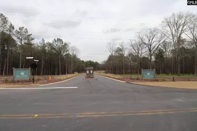 Lot 229 Granny Hill Road #229, Prosperity, SC 29127 - Photo 9