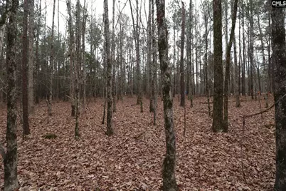 Lot 229 Granny Hill Road #229, Prosperity, SC 29127 - Photo 57