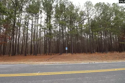 Lot 229 Granny Hill Road #229, Prosperity, SC 29127 - Photo 39