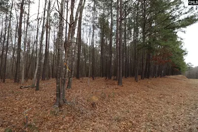 Lot 229 Granny Hill Road #229, Prosperity, SC 29127 - Photo 43