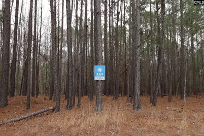 Lot 229 Granny Hill Road #229, Prosperity, SC 29127 - Photo 3