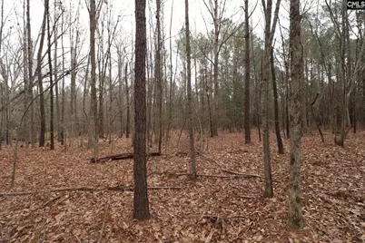 Lot 229 Granny Hill Road #229, Prosperity, SC 29127 - Photo 53