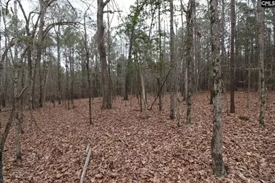 Lot 229 Granny Hill Road #229, Prosperity, SC 29127 - Photo 59