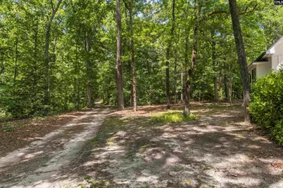 363 Langford Road, Blythewood, SC 29016 - Photo 31