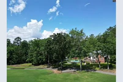 129 Linkside Court, Chapin, SC 29036 - Photo 25