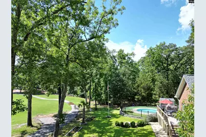 129 Linkside Court, Chapin, SC 29036 - Photo 23