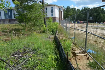 229 Charter Oak Road, Lexington, SC 29072 - Photo 3