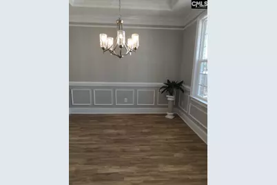 10 Saints Creek Place, Irmo, SC 29063 - Photo 11