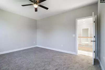 10 Saints Creek Place, Irmo, SC 29063 - Photo 61