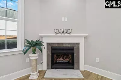 10 Saints Creek Place, Irmo, SC 29063 - Photo 13