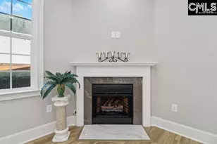 10 Saints Creek Pl, Irmo, SC 29063 - Photo 13