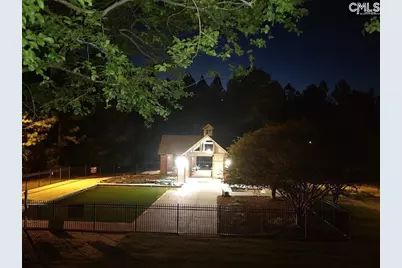 10 Saints Creek Place, Irmo, SC 29063 - Photo 89