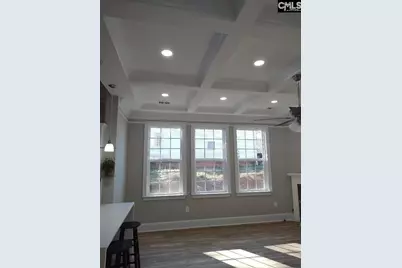 10 Saints Creek Place, Irmo, SC 29063 - Photo 17