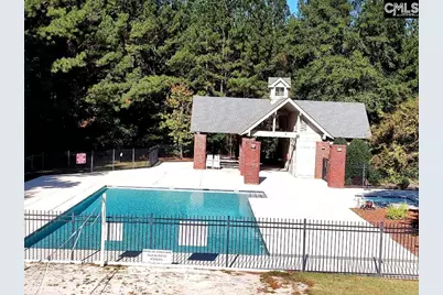 10 Saints Creek Place, Irmo, SC 29063 - Photo 87