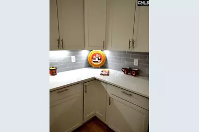 10 Saints Creek Place, Irmo, SC 29063 - Photo 31