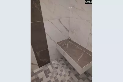 10 Saints Creek Place, Irmo, SC 29063 - Photo 49