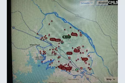 10 Saints Creek Place, Irmo, SC 29063 - Photo 93