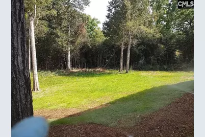 10 Saints Creek Place, Irmo, SC 29063 - Photo 85