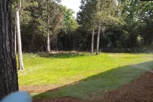 10 Saints Creek Pl, Irmo, SC 29063 - Photo 85