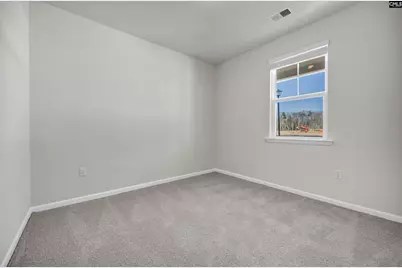 340 Babcock Way, Gilbert, SC 29054 - Photo 35