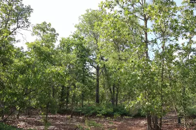 Tbd Webbs Pond, Williston, SC 29853 - Photo 7