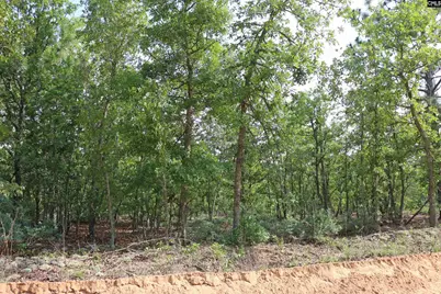 Tbd Webbs Pond, Williston, SC 29853 - Photo 3