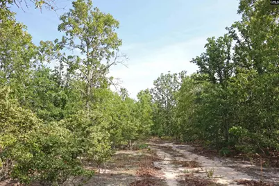 Tbd Webbs Pond, Williston, SC 29853 - Photo 5