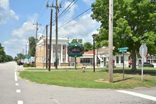 7306 Festival Trail Rd, Springfield, SC 29146 - Photo 27