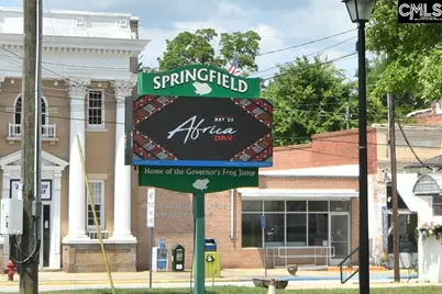 7306 Festival Trail Road, Springfield, SC 29146 - Photo 29