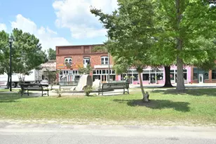 7306 Festival Trail Rd, Springfield, SC 29146 - Photo 25