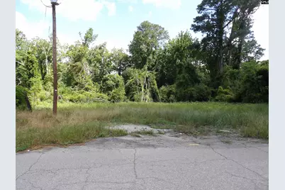 0 Russell Street, Batesburg, SC 29006 - Photo 3