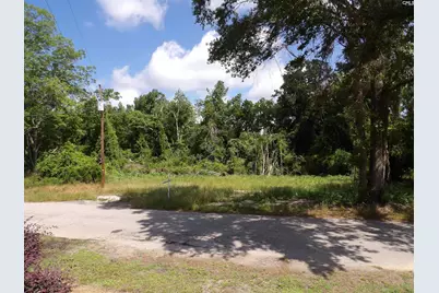 0 Russell Street, Batesburg, SC 29006 - Photo 7