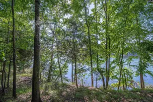 2022 Lake Rd, Ridgeway, SC 29130 - Photo 11