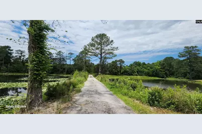 101 Moolah Drive, Columbia, SC 29223 - Photo 23