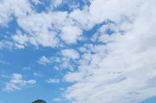 101 Moolah Dr, Columbia, SC 29223 - Photo 29