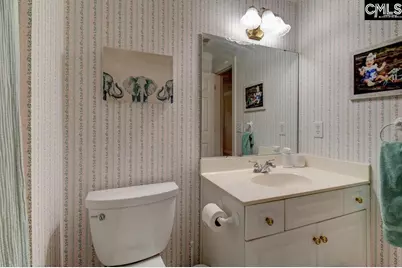 115 Chestnut Woods Lane, Columbia, SC 29212 - Photo 57