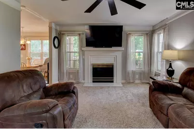 115 Chestnut Woods Lane, Columbia, SC 29212 - Photo 19