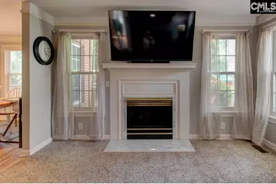 115 Chestnut Woods Lane, Columbia, SC 29212 - Photo 17