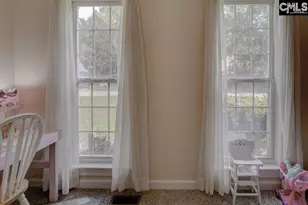 115 Chestnut Woods Ln, Columbia, SC 29212 - Photo 35