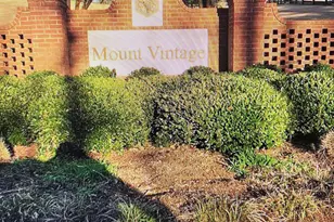 Mount Vintage Plantation Dr, North Augusta, SC 29860 - Photo 1