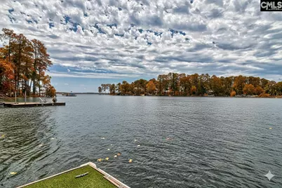 940 Willow Cove Road, Chapin, SC 29036 - Photo 17