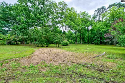 411 Holloway Street, Pomaria, SC 29126 - Photo 69