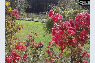 411 Holloway Street, Pomaria, SC 29126 - Photo 73