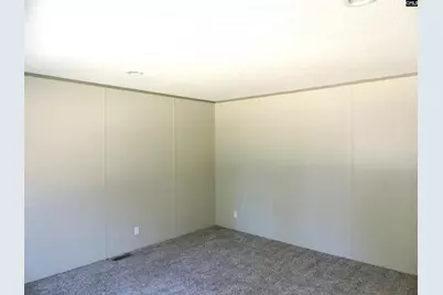 812 White Pond Road, Williston, SC 29853 - Photo 43