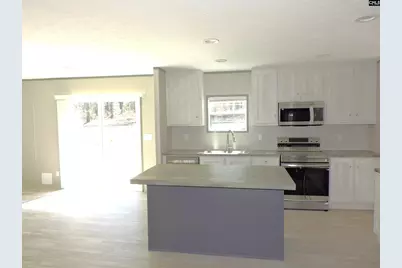 812 White Pond Road, Williston, SC 29853 - Photo 19