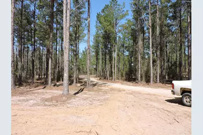 812 White Pond Road, Williston, SC 29853 - Photo 3