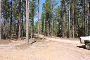 812 White Pond Rd, Williston, SC 29853 - Photo 3