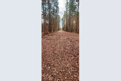 2016 Old Barnwell Road, Lexington, SC 29073 - Photo 1