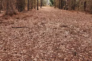 2016 Old Barnwell Rd, Lexington, SC 29073 - Photo 1